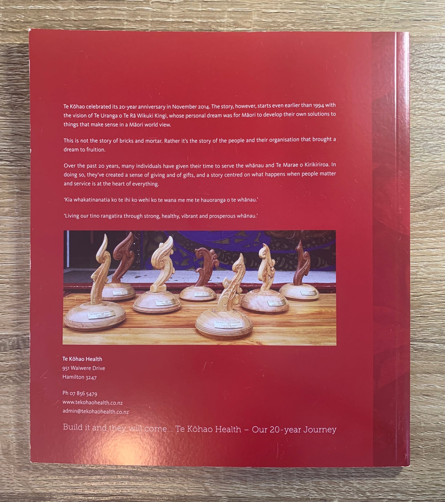 Build it and they will come - Te Kōhao Health Our 20 year Journey