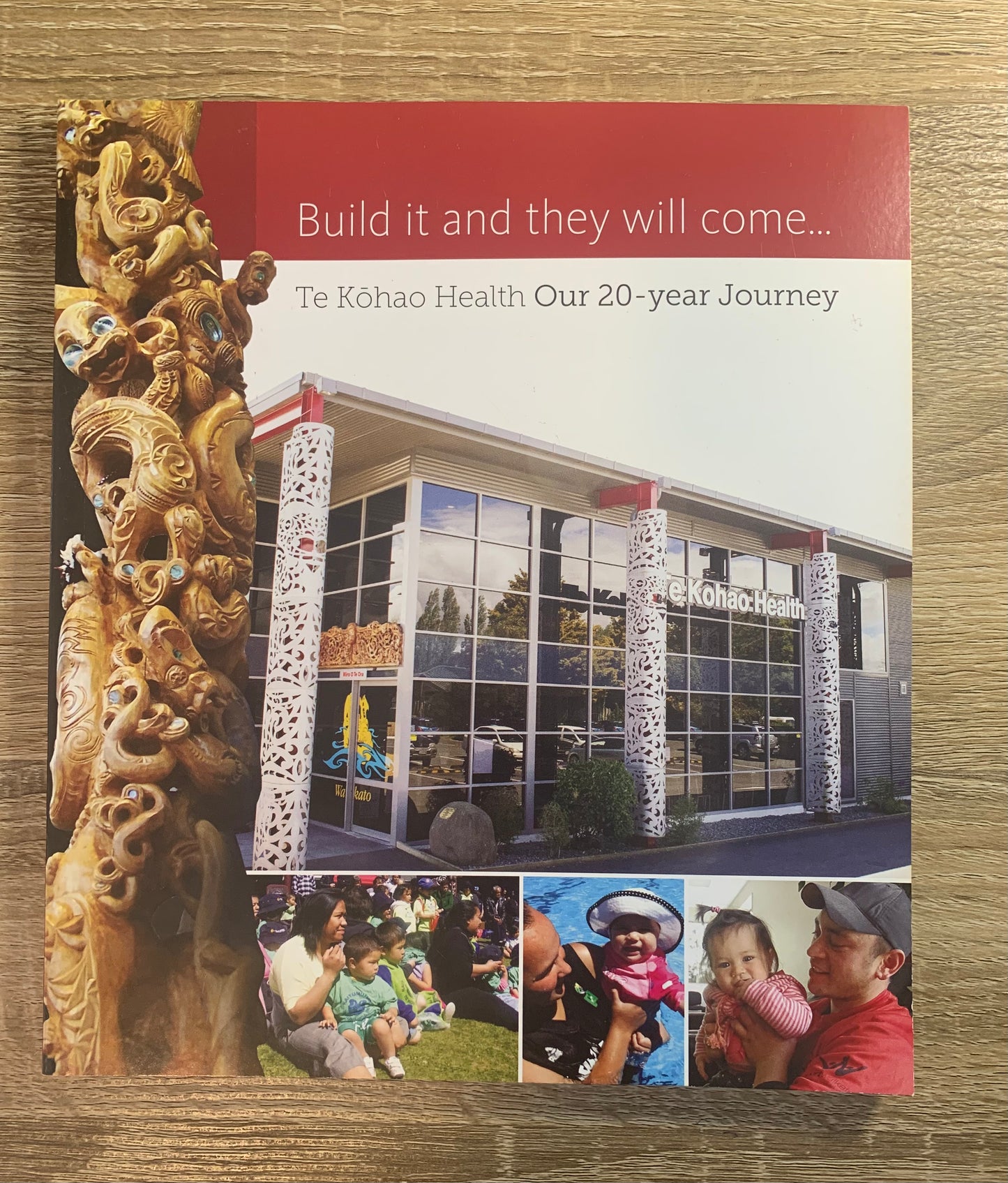 Build it and they will come - Te Kōhao Health Our 20 year Journey